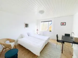 Viborg Guesthouse - Billig Overnatning Viborg - Viborg