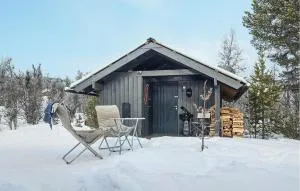 Stunning Home In Nesbyen With Wifi - Tunhovd