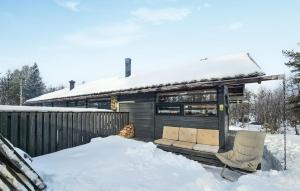 Stunning Home In Nesbyen With Wifi