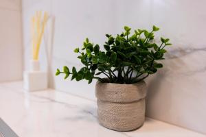 Arena Luxe Retreat, FREE Parking