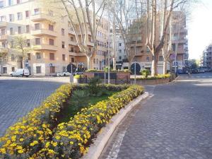 New Jebs sweet home Rome