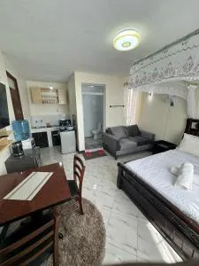 Ecostay Studio 304 - Ahero