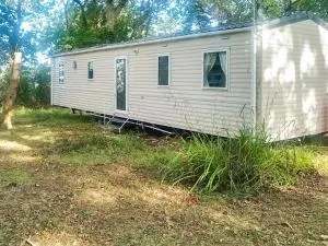 Sunset Boulevard - Shalfleet