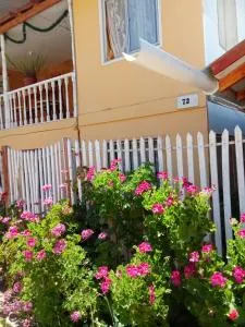 Habitación en Valle de Elqui - Rivadavia