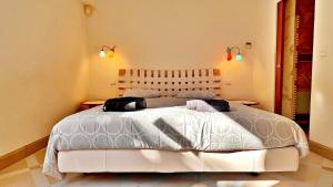 Villas Palm & Sun : photos des chambres