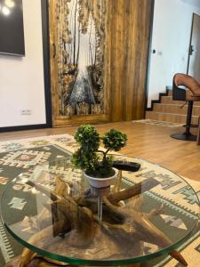 Zen Retreat Apartment
