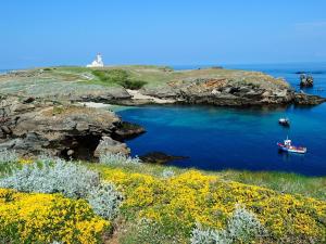 Maisons de vacances Maison familiale typique a Sauzon avec jardin, proche du port - FR-1-418-11 : photos des chambres