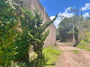 Campo Florido