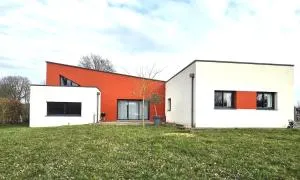 la belle de volnay - Le Grand-Lucé