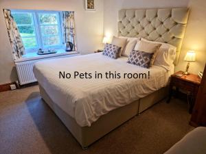 Classic Double Room room in Collaven Manor