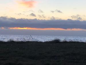 Ferienhaus Schäferhund