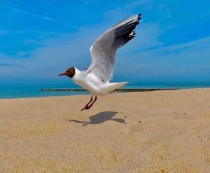 Ferienwohnung zur Kühlung
