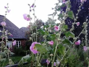 Friesenhaus am Meer - Risum-Lindholm