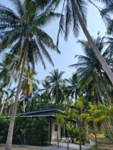 The Leaf Bankrut - Cosy Cottage