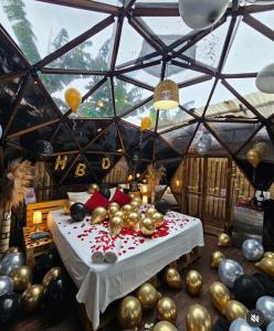 Happy Glamping Quindio - Tipo Domo Traslúcido