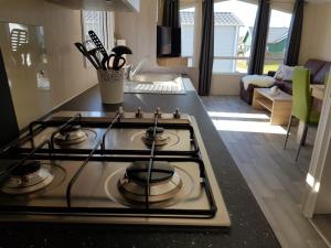 Mobilheim Küstenschwalbe am Kransburger See 553