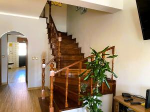 Ocean view - Baleal beach house - Surf & Relax