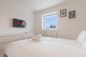 Spacious and Modern 2BR Stay Free Parking and WiFi