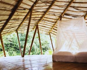 Blue Dot - jungle river adventure hostel closest to Ciudad Perdida