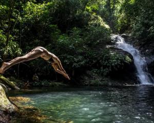 Blue Dot - jungle eco hostel