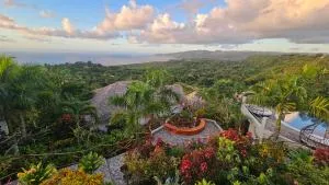 Araya Resort - Los Naranjos