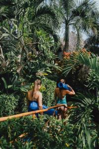Araya Resort