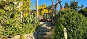 Wildnisresidenz am Nationalpark - FeWo mediterran