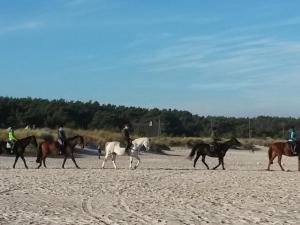 Ferienwohnung "Weststrand"
