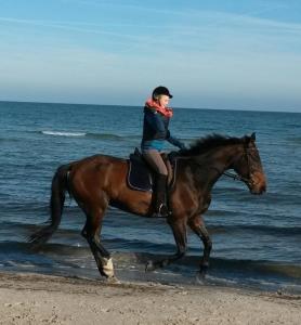Ferienwohnung "Weststrand"
