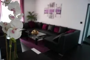 La Domus Superior Osnabrück Lotte - Lotte