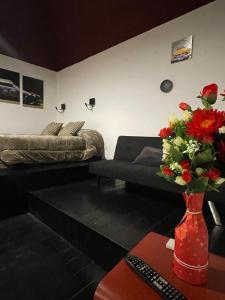 Planet Suite Vesuvio