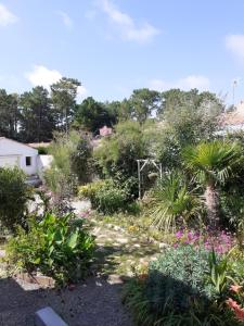 B&B / Chambres d'hotes Villa Les Palmiers : photos des chambres