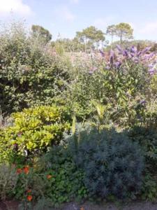 B&B / Chambres d'hotes Villa Les Palmiers : photos des chambres