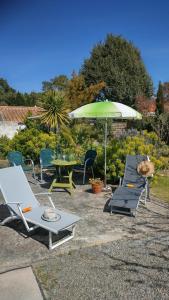 B&B / Chambres d'hotes Villa Les Palmiers : photos des chambres