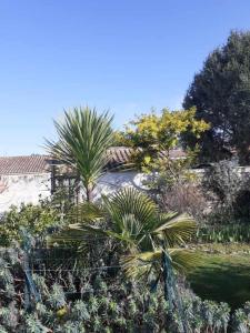 B&B / Chambres d'hotes Villa Les Palmiers : photos des chambres