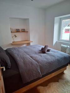 Charming Holiday Retreat in Tamins near Flims