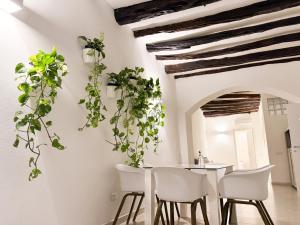 Kalma - Vico Collegio Marina img5