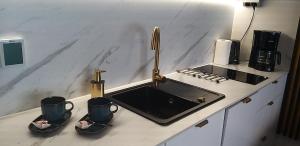 Apartament Koksowa Przystań Resort Solny A004