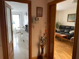 Center Terrace Appartment - 科多维拉