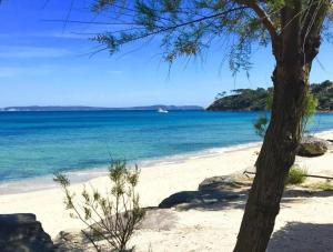 Superbe appartement climatisé avec wifi classé 3 étoiles à 50 m de la plage Le Lavandou