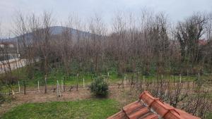 Lush Garden Villa Close to Airport with Hi-Speed Wifi