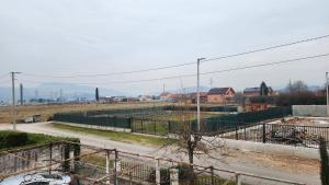 Lush Garden Villa Close to Airport with Hi-Speed Wifi