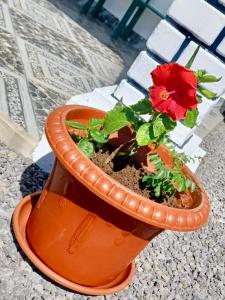 Villa Dei Niuri Mauritius