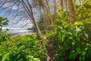 Cabina Guatusa, 3Min from the Beach! Playa Chiquita