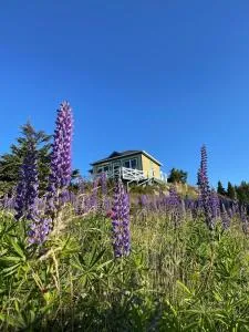 The Crows Nest Studio in Trinity East - Port Rexton