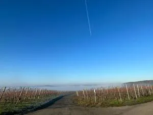 Klein aber fein - 艾贝尔斯塔特