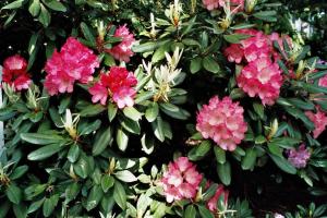 Appartementhaus Dr Domberg Wohnung 2