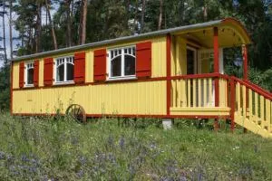 Zigappo Classique - Waldsee