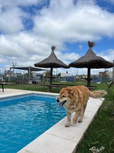 Quinta La Deseada Brandsen