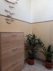CA'pPERINI img18